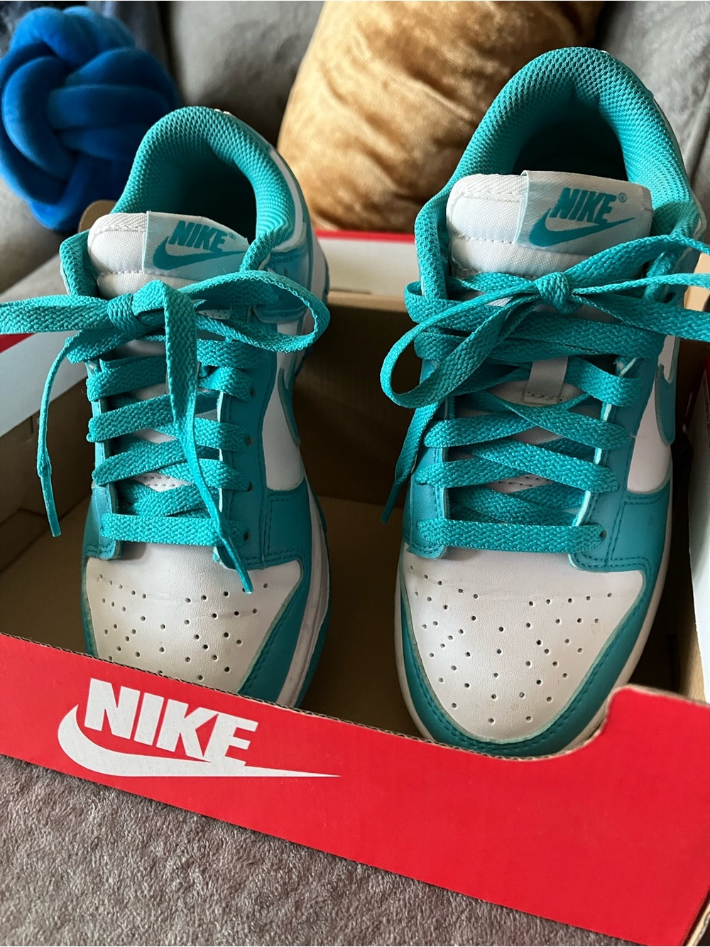 Nike Low-Top Dunk Sneakers in Teal and White